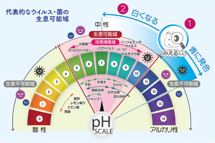 菌やウィルスがほぼ生息できないpHの範囲で青く発色！